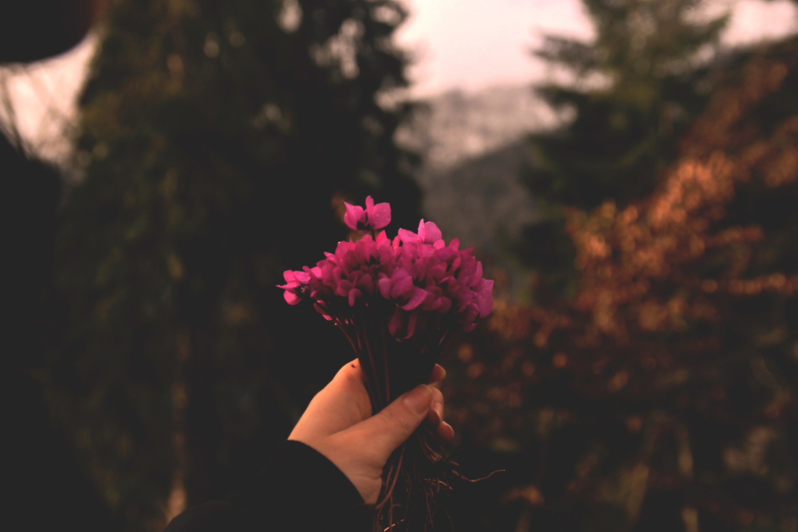 SCC_News Feature_Forgiving Trauma
